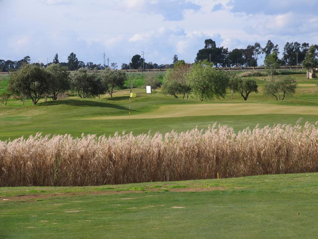 Гостьовий будинок Golf Club Метапонто Екстер'єр фото